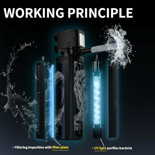 Diagram showing water purification process with filter and UV light.